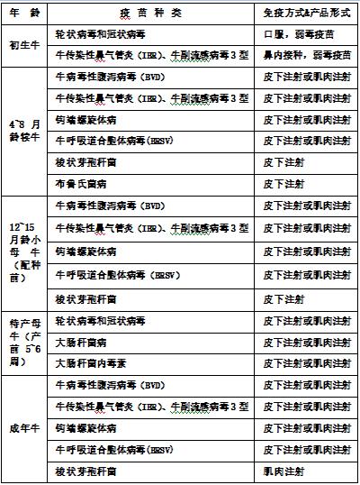 亚健康母猪图片_母牛亚健康_牛亚健康的调理